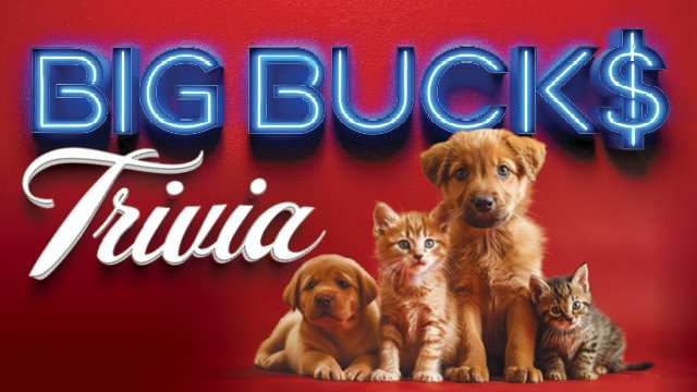 Big Bucks Animal Welfare League Trivia